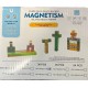 Детский магнитный конструктор Magnetism World T36 (60)